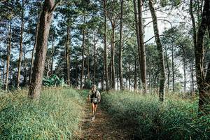 BIB: 
                            <button type="button" onclick="openModal(25657542)" class="btn btn-primary btn-sm float-right btn-popup" data-toggle="modal" data-target=".modal-high-quality">
                        <i class="fas fa-shopping-cart"></i> Add to Cart
                    </button>
                                            <button type="button" onclick="isThisMe(25657542, true)" class="btn btn-success btn-sm float-right btn-popup btn-isme hidden" data-toggle="tooltip" data-placement="bottom" title="นี่คือรูปของคุณใช่ไหม คลิกที่นี่เพื่อเอาเข้าอัลบั้ม">
                        <i class="fas fa-plus"></i> Add to album
                    </button>
                    <button type="button" onclick="isThisMe(25657542, false)" class="btn btn-warning btn-sm float-right btn-popup btn-isnotme hidden">
                        <i class="fas fa-ban"></i> Remove from album
                    </button>